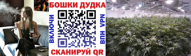 Названия наркотиков Великие Луки МАРИХУАНА СК Гашиш Галлюциногенные грибы Лсд 25 КОКАИН