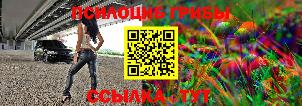 Псилоцибиновые грибы мухоморы Великие Луки