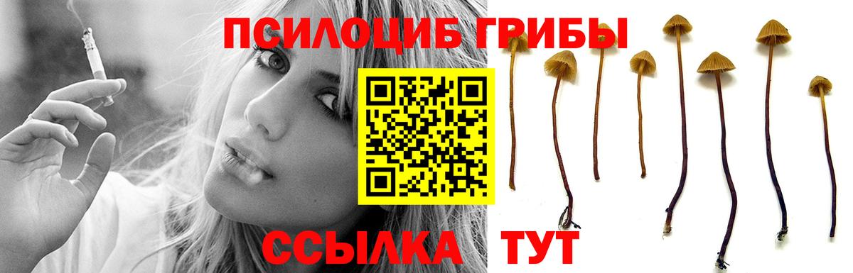 Галлюциногенные грибы мухоморы  Вход с VPN  Великие Луки 
